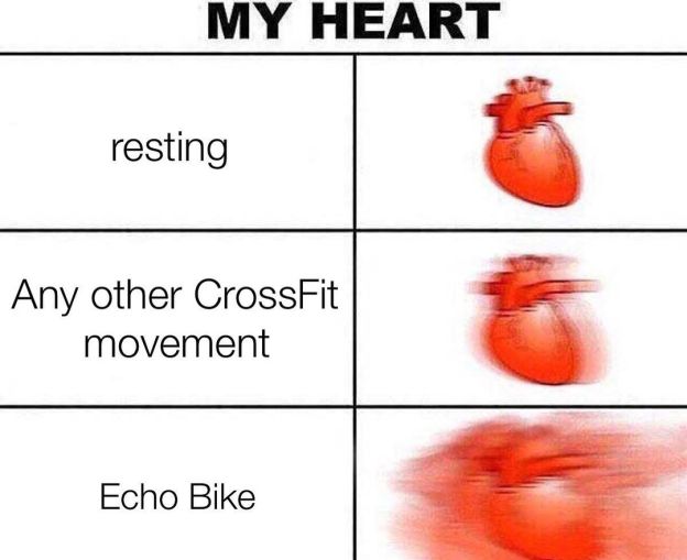 Echo Bike