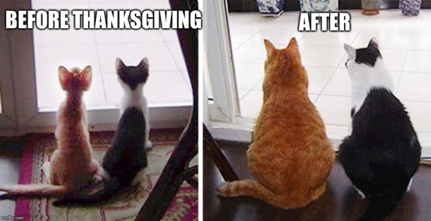 before after thanksgiving